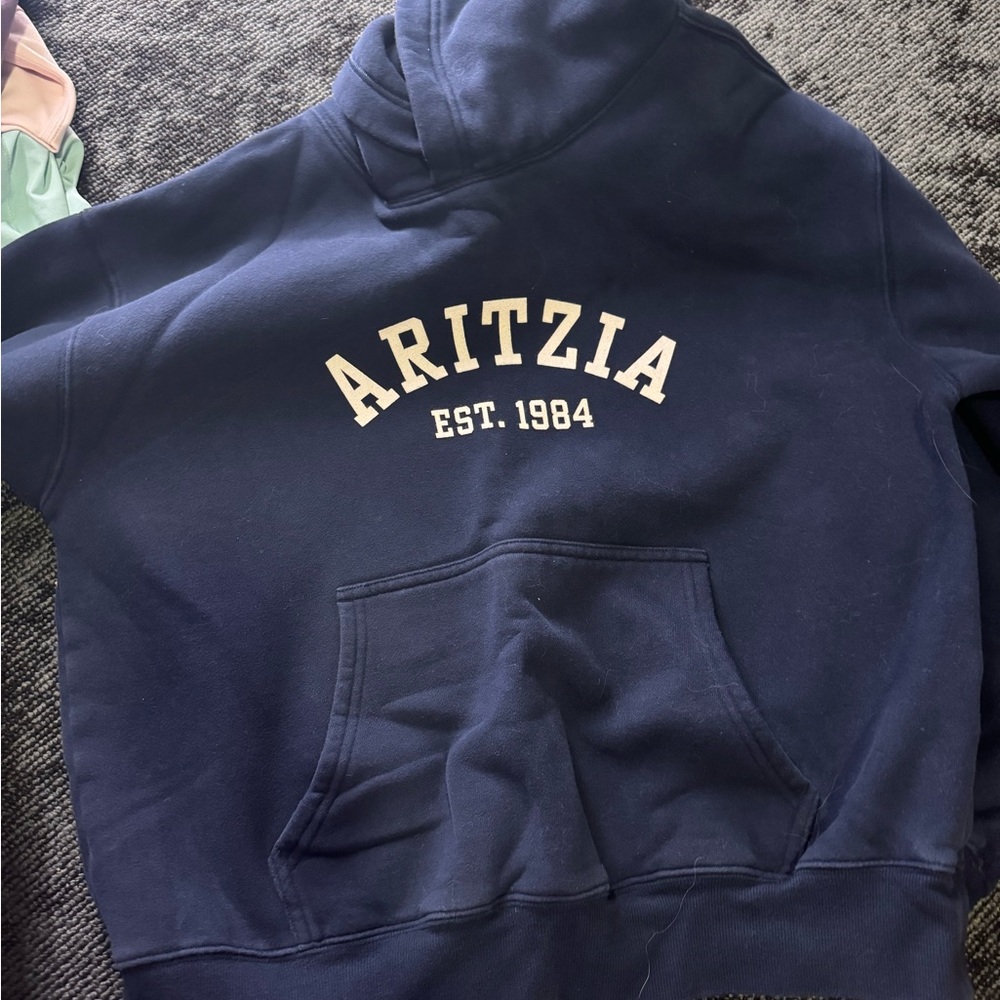 Aritzia Hoodie